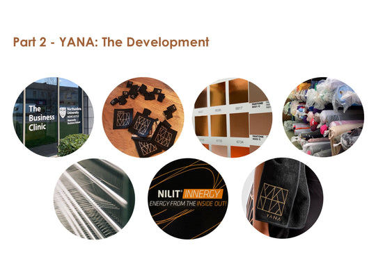 Part 2. YANA™ Active: Developing a new business